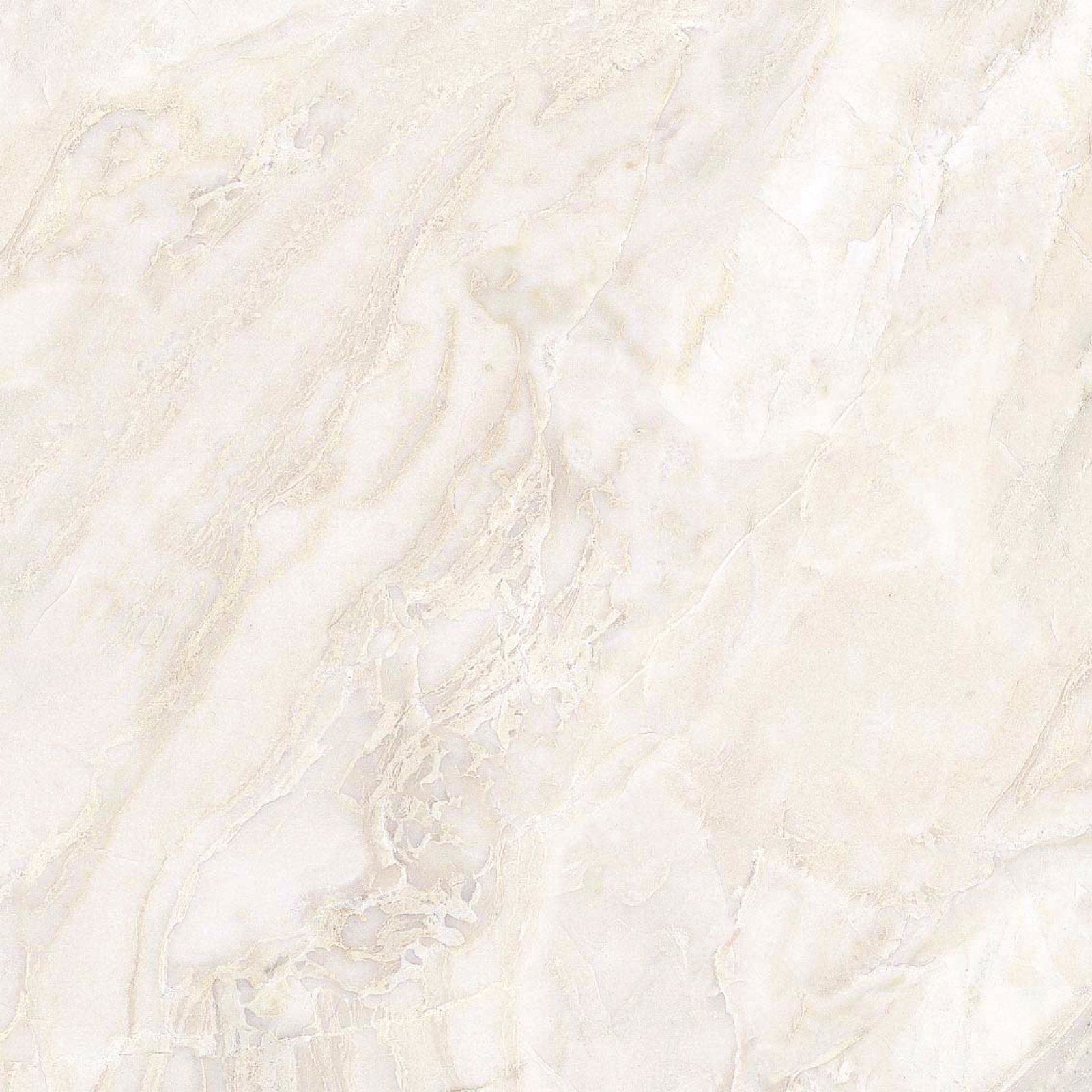 PLATINUM 40X40 HAROLD BROWN